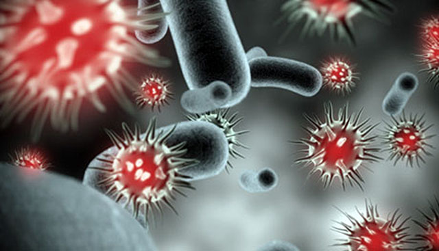 virus