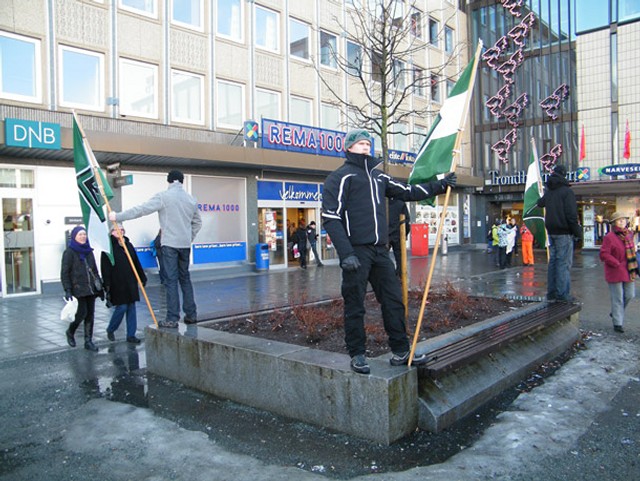 20120312_trondheim1_ny