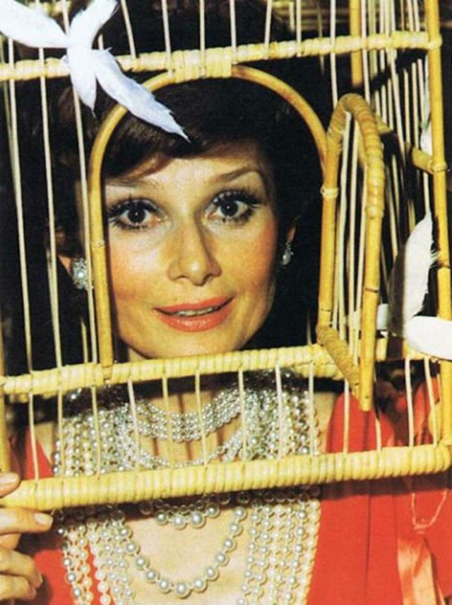 Audrey Hepburn i et fuglebur.
